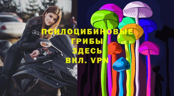 прущая мука Белокуриха