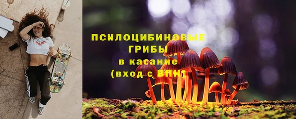 прущая мука Белокуриха