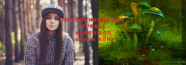 прущая мука Белокуриха